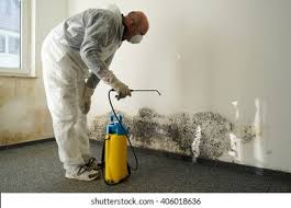 Best Mold Removal for HVAC Installations  in Turners Falls, MA